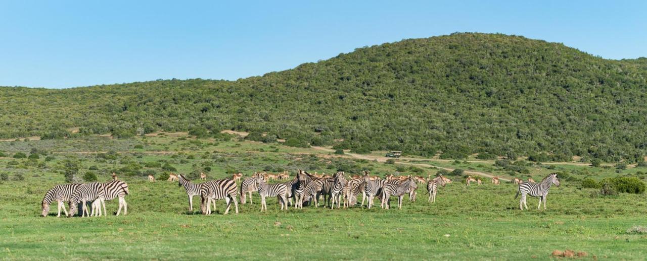 فيلا Shamwari Long Lee Manor باترسون المظهر الخارجي الصورة